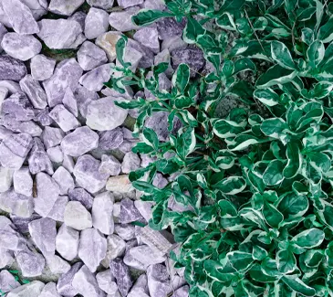 First Call Building & Garden Supplies