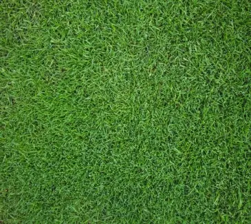 First Call Building & Garden Supplies